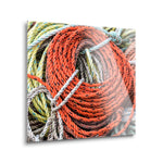 Knowing the Ropes II  | 12x12 | Glass Plaque