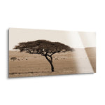 Serengeti Horizons I (Watt - Africa_MG_5378.jpg)  | 12x24 | Glass Plaque