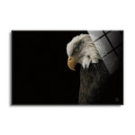 Eagle Bow  | 24x36 | Glass Plaque