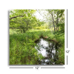 Reflecting Pool  | 12x12 | Glass Plaque