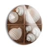 Seashells Treasures III  | 24x24 Circle | Glass Plaque