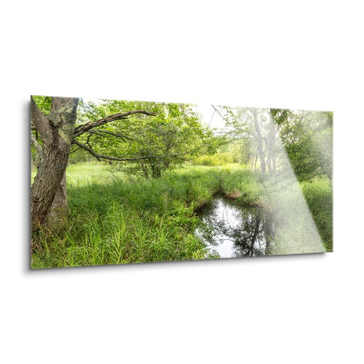 Reflecting Pool  | 12x24 | Glass Plaque
