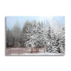 Frosty Morning  | 24x36 | Glass Plaque