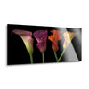 Jewel Calla Lilies  | 12x24 | Glass Plaque